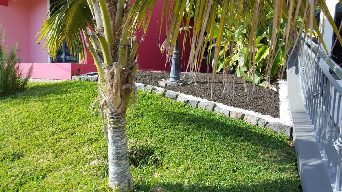 Pink House Apartment Ponta do Sol  Luaran gambar